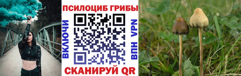 Галлюциногенные грибы мухоморы  купить наркоту  Новоузенск 