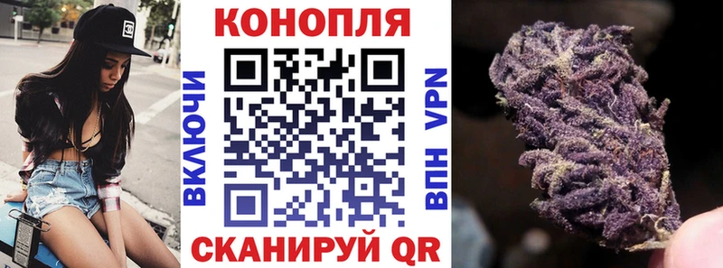 где можно купить наркотик Новоузенск Шишки марихуана ГИДРОПОН